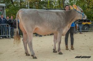 k-AR8I4370 Schneutersiegerin BV Jung Furrer BS Calvin Calvanda Schmid Beni